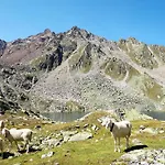 Apartamento Alpin-8 By Interhome Sölden