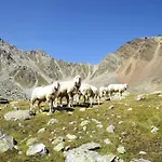 Alpin-8 By Interhome * Sölden