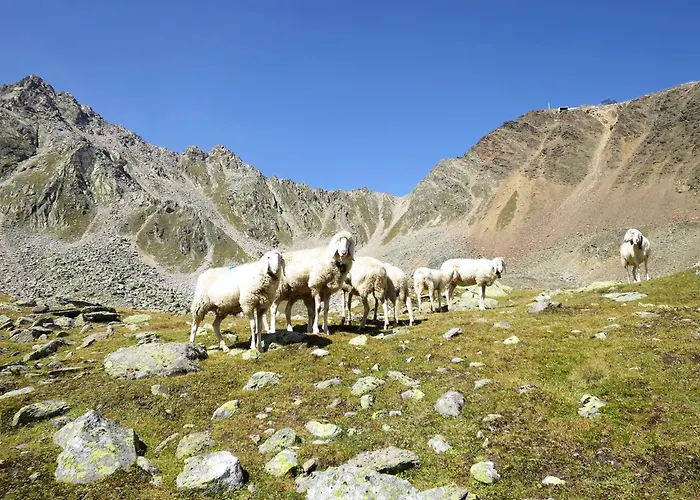 Alpin-8 By Interhome * Sölden